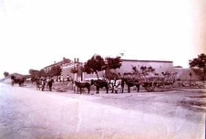 Images d'Algerie 072